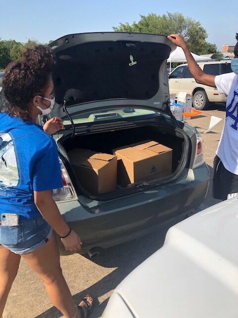 boxes in trunk